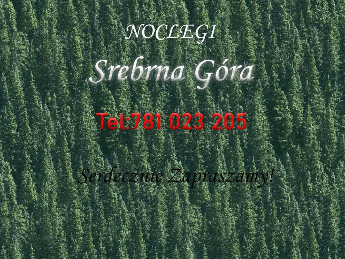 Noclegi Pod Twierdza Srebrna Gora ภายนอก รูปภาพ